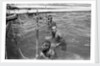 Pearl divers in the water by Alan Villiers