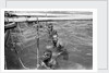 Pearl divers in the water by Alan Villiers
