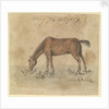 A grazing horse by Gabriel Bray