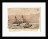 [The E]xpedition Brigg as she appeared wreck'd on the W[este]rn Point of the [island] of Sta Cruiz Teneriffe A[dV pr ]GB - December 1774 by Gabriel Bray