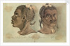The Head-dress of the Jolliffes, Gum Coast, Africa by Gabriel Bray