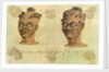 'The Fantyman Head Dress, Gold Coast, Africa' [Bray album] by Gabriel Bray