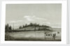 Naval launch approaching a shoreline covered with fir trees by unknown