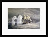 HMS 'Phoenix', 'Talbot' and 'Diligence' passing a remarkable iceberg by Edward Augustus Inglefield