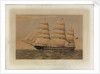 Clipper ship 'Superb' by Thomas Goldsworth Dutton