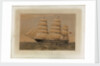 Clipper ship 'Superb' by Thomas Goldsworth Dutton
