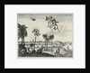 Batavia by unknown