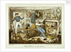 Billy Culmer & The Goose by George Cruikshank
