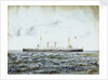 Ringarooma (class) 1889 by J.R.D.