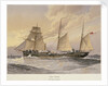 HMS 'Thrush', First class gunboat by W. Fred Mitchell