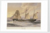 HMS 'Thrush', First class gunboat by W. Fred Mitchell