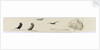 Seabirds by William Lionel Wyllie