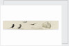 Seabirds by William Lionel Wyllie