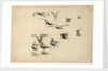Seabirds standing in water and in flight by William Lionel Wyllie