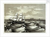 Off Martin Vaas, and Trinidad by unknown