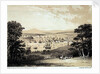 From the White Seat at Mount Edgcumbe Park Devonport. Views from the most picturesque parts of Mount Edgcumbe No.2 by Nicholas Matthew Condy