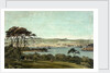 Devonport from Mount Edgcumbe by Phillip Mitchell