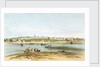 Exmouth from the Warren Point by W. Spreat