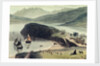 Portree on the Isle of Skye by William Daniell
