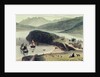 Portree on the Isle of Skye by William Daniell