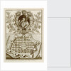 Don Constantin de Bragance by unknown
