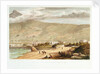 Admiralty House - Entrance to Simon's Town by Thomas William Bowler