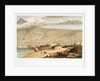 Admiralty House - Entrance to Simon's Town by Thomas William Bowler