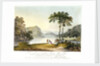 View of Markham Cove by Rufane Shawe Donkin