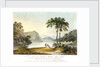 View of Markham Cove by Rufane Shawe Donkin