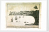 Fernando Po, Africa by C. Jones