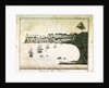 Fernando Po, Africa by C. Jones