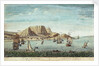 The Cape of Good Hope by Jan van Ryne