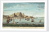 The Cape of Good Hope by Jan van Ryne