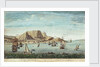 The Cape of Good Hope by Jan van Ryne