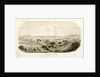 Sydney Bay, Norfolk Island to which place a portion of the Pitcairn Islanders are in course of removal by J. Glen Wilson