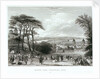 London from Greenwich Park by Read