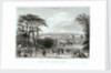 London from Greenwich Park by Read