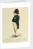 Napoleon Bonaparte by unknown