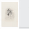 Lieutenant William Rivers (1788-1856) by unknown