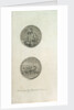 Medal to the memory of Horatio Nelson and the Battle of the Nile by P. Roberts