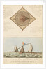 A Correct Plan and Elevation of the Famous French Raft by British School