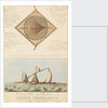 A Correct Plan and Elevation of the Famous French Raft by British School