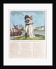 The Sailor's Journal. Sung by Mr Incledon at Covent Garden Theatre, &c by Robert Laurie & James Whittle