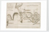 Plan of St Lucia in the West Indies, December 1778 by T. Bowen