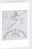 Plan of the blockade of Cadiz, June 1797 by unknown