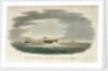 The 'San Ildefonso' captured by HMS 'Defence' by John Theophilus Lee
