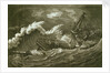 'Phoenix' in rough seas by unknown
