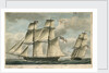 Gloucester' by F. P. Wedsted