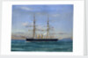 Temeraire' by A. de Simone