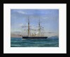 Temeraire' by A. de Simone